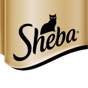 Sheba
